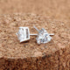 Silver Earrings "Kindness"